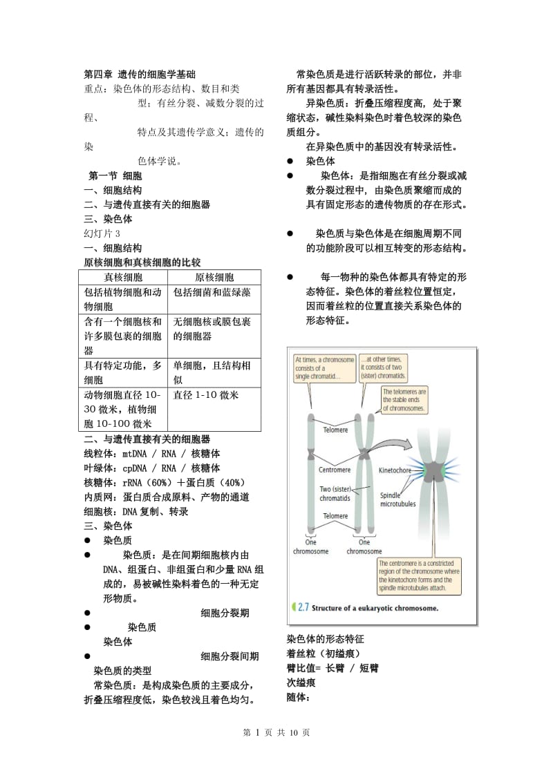 第4章遗传的细胞学基础.doc_第1页