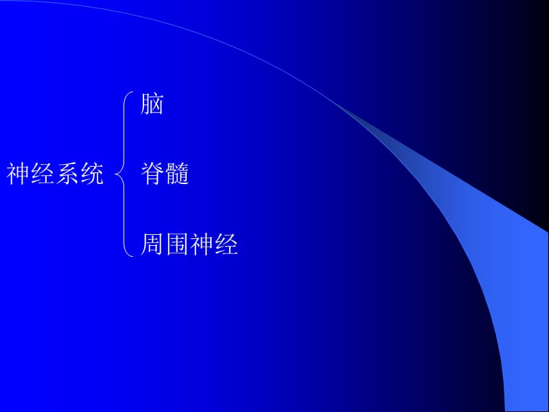 第十章神经系统.ppt_第2页