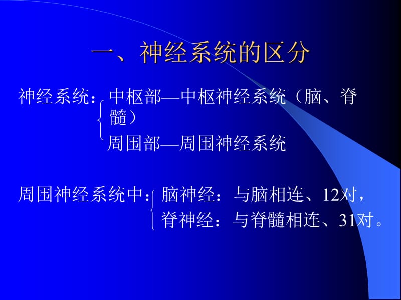 第十章神经系统.ppt_第3页