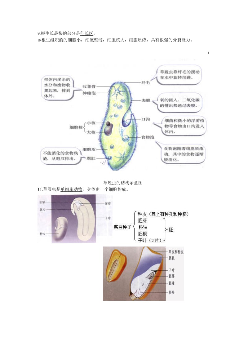 初中生物图专题附题目.doc_第3页