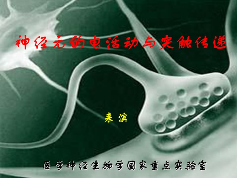 2013917突触传递和调控lb.ppt_第1页