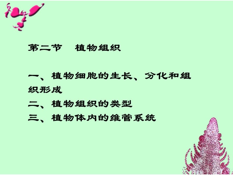 第二章第二节.ppt_第1页