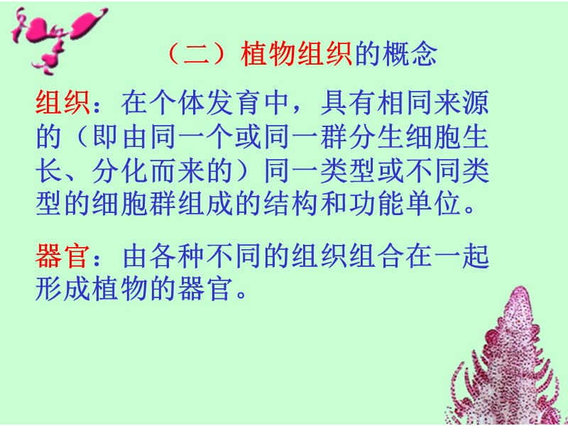 第二章第二节.ppt_第3页