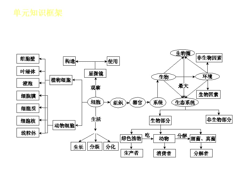 第1单元生物中考复习新课标人教版.ppt_第3页