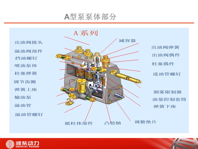 A型泵学习.ppt_第2页