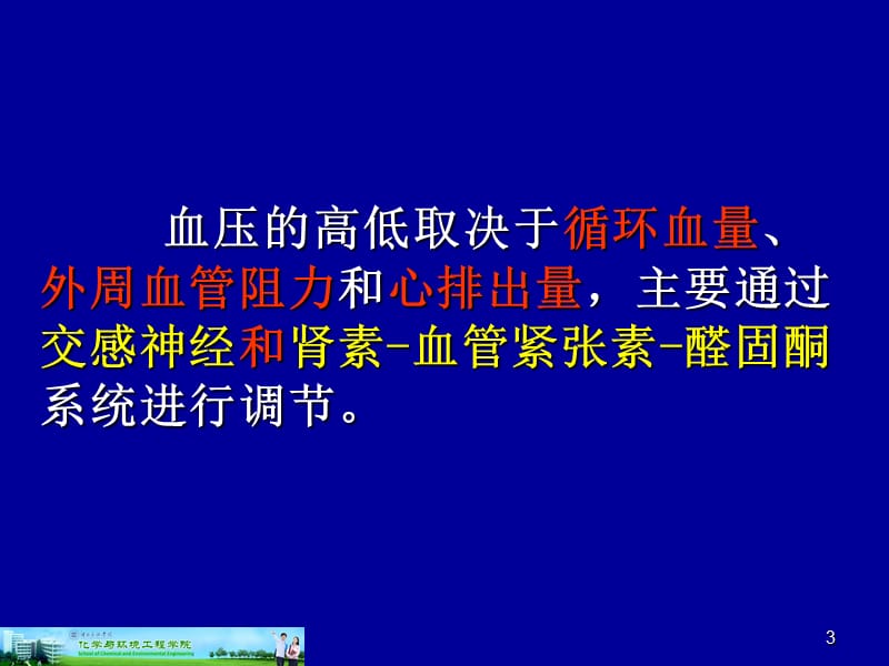 第13章抗高血压药物和利尿药.ppt_第3页