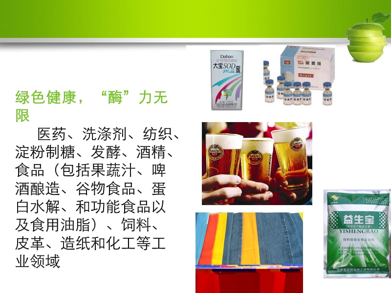 酶的应用1.ppt_第2页