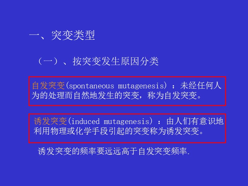 第二章基因突变及其机制.ppt_第3页