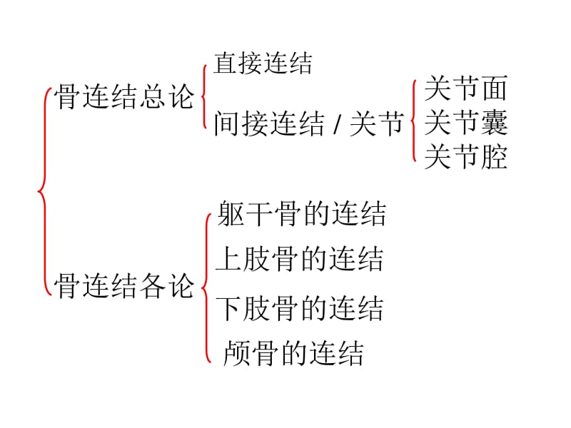 关节学PPT课件.ppt_第2页