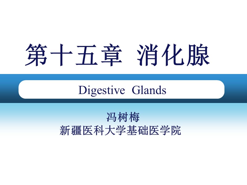 第15章消化腺.ppt_第1页