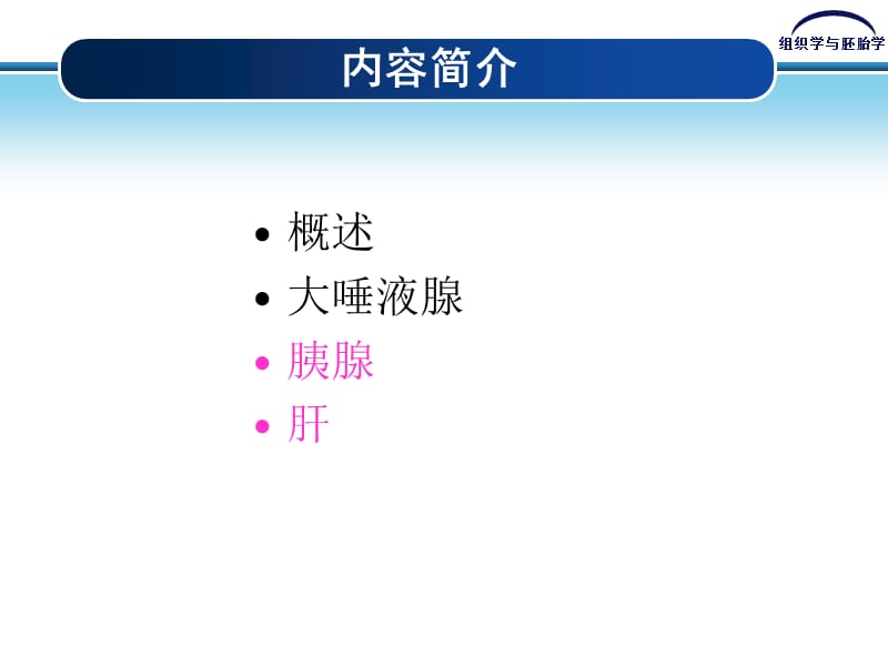 第15章消化腺.ppt_第3页