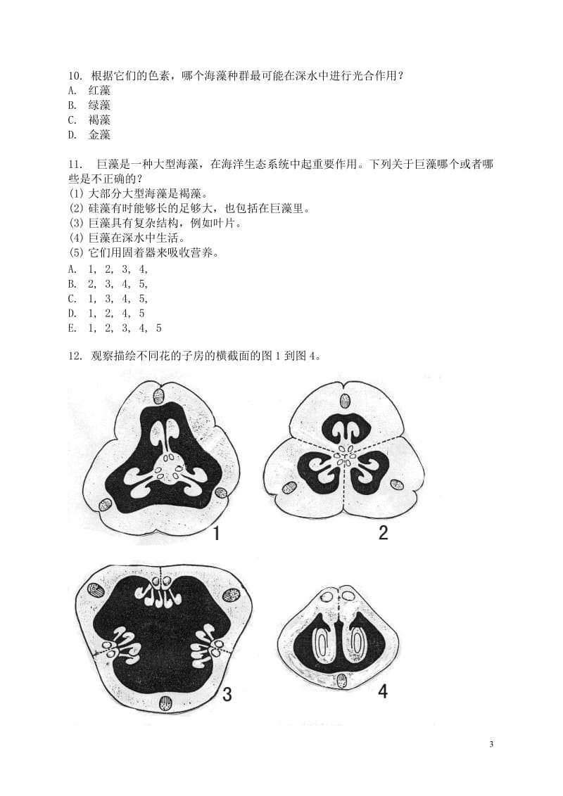 2009年集训植物形态解剖及系统分类试题.doc_第3页