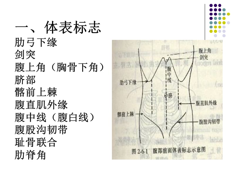 腹部检体.ppt_第3页