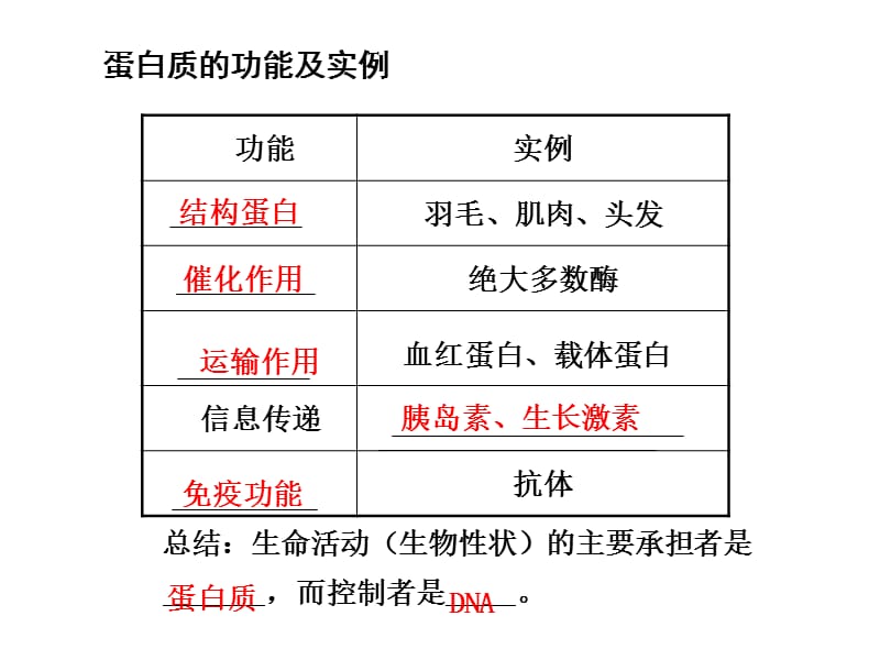 第3课时蛋白质.ppt_第3页