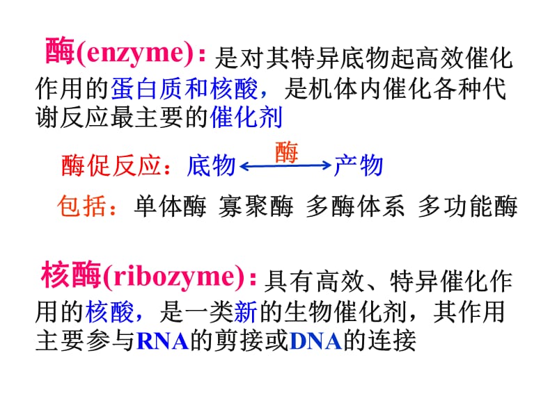 第03章酶04LB.ppt_第2页