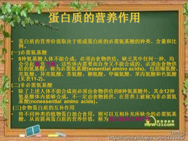 蛋白质的消化吸收.ppt_第3页