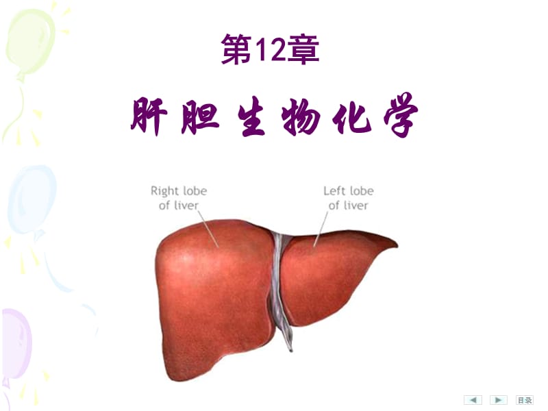 黄二版-肝胆生化.ppt_第1页