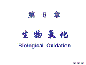 第6章 生物氧化.ppt