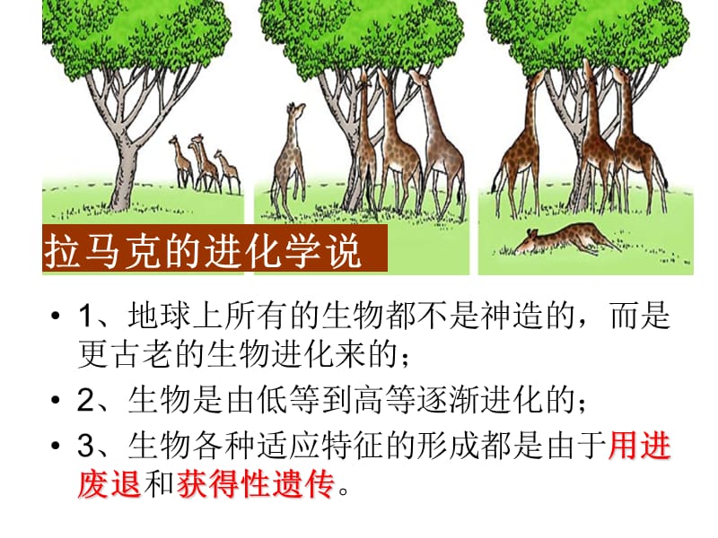 高中生物浙科版必修二第五章第二节进化性变化是怎样发生的.ppt_第3页