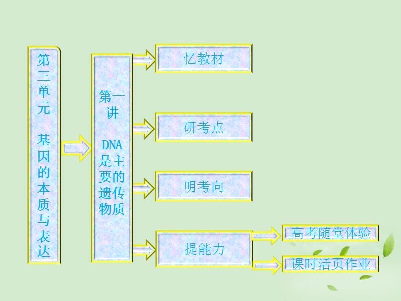 高中生物复习DNA是主要的遗传物质课件新人教版必修2.ppt_第1页