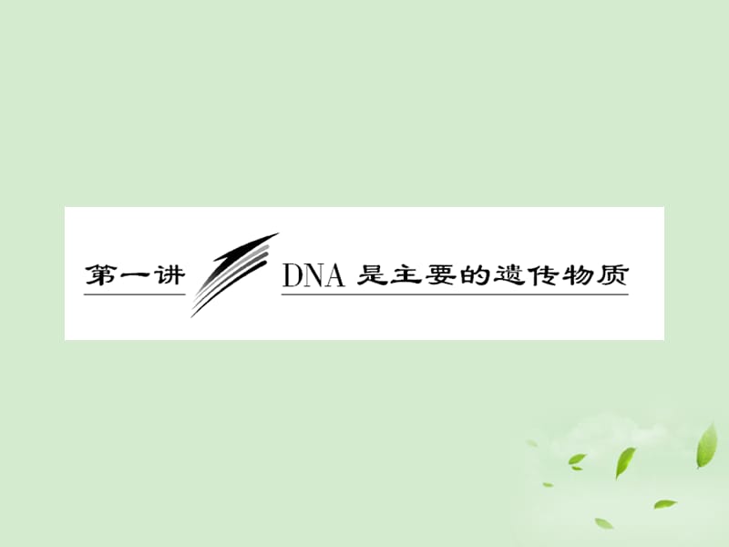 高中生物复习DNA是主要的遗传物质课件新人教版必修2.ppt_第3页