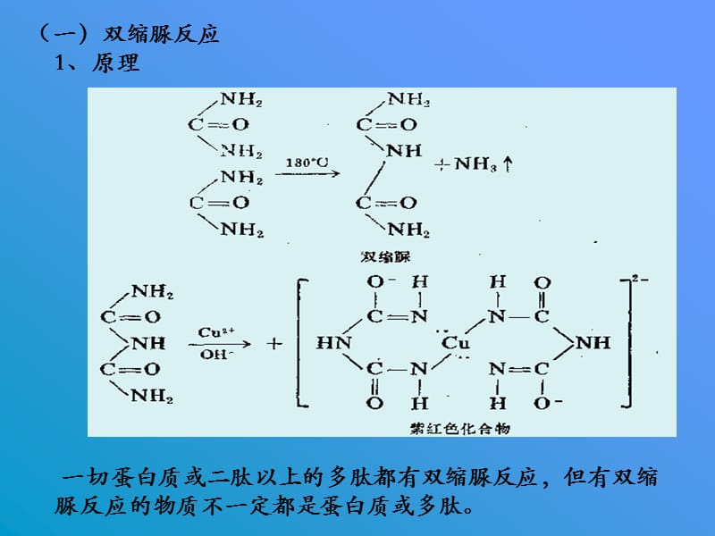 蛋白质和氨基酸的呈色反应-.ppt_第3页