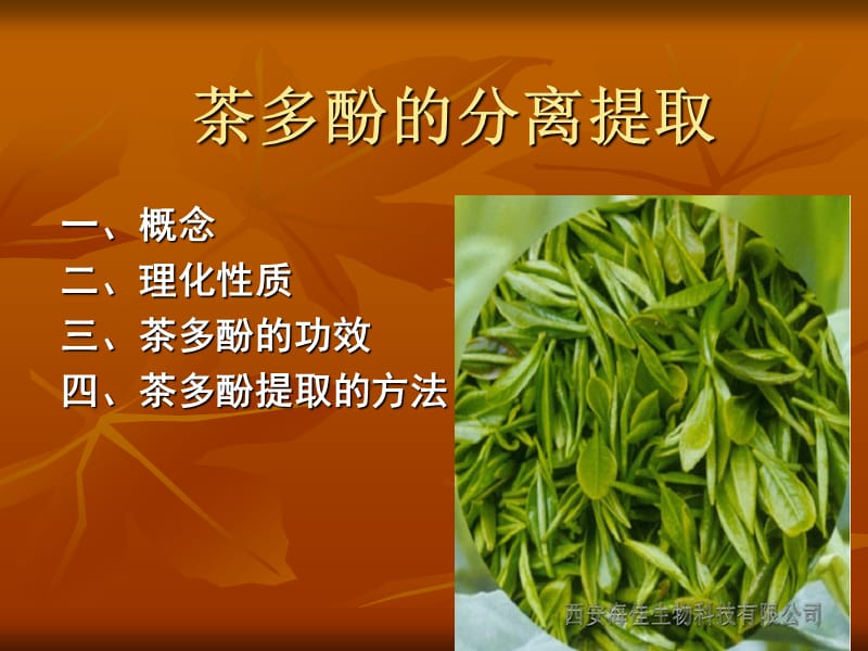 茶多酚的分离提取.ppt_第1页