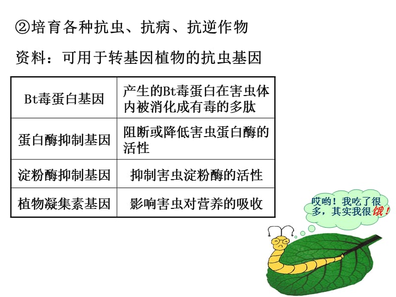 课件基因工程的应用.ppt_第3页