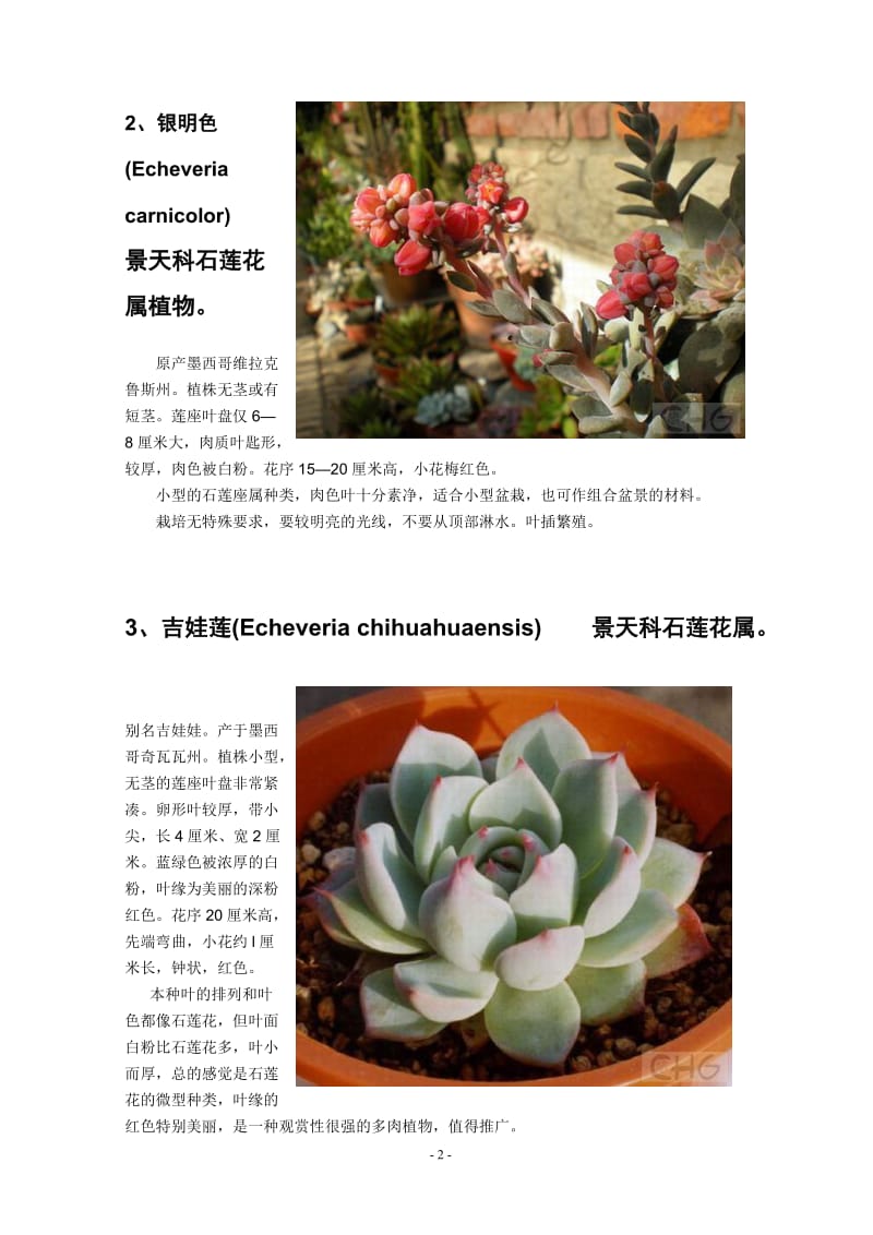 200种多肉植物习性及栽培要领.doc_第2页