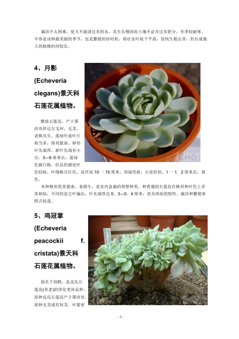 200种多肉植物习性及栽培要领.doc_第3页