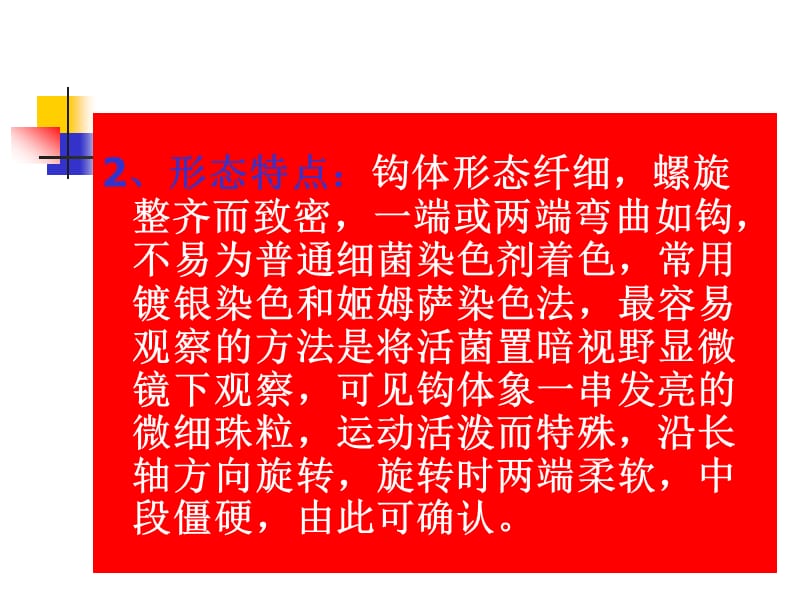 钩端螺旋体病1.ppt_第3页