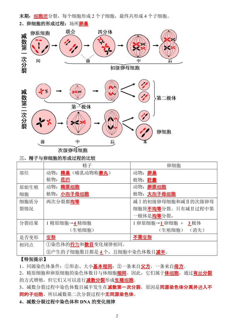 2011生物必修2.doc_第2页