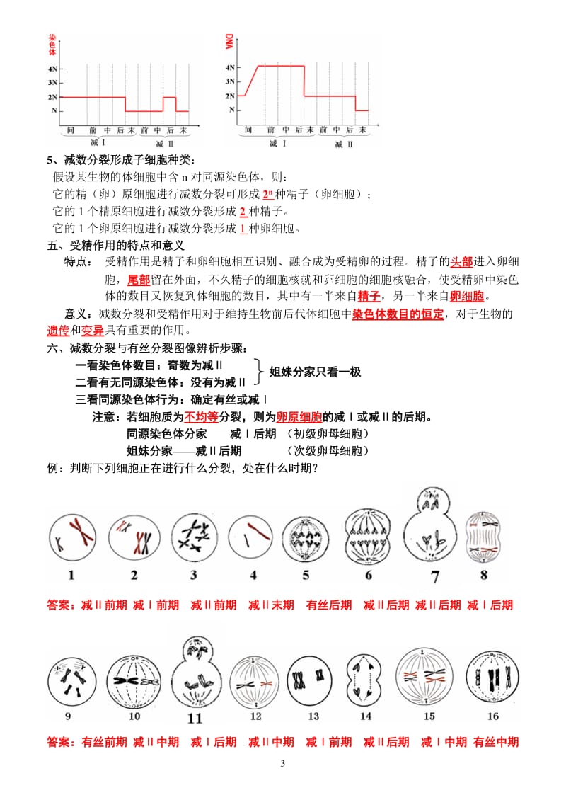 2011生物必修2.doc_第3页