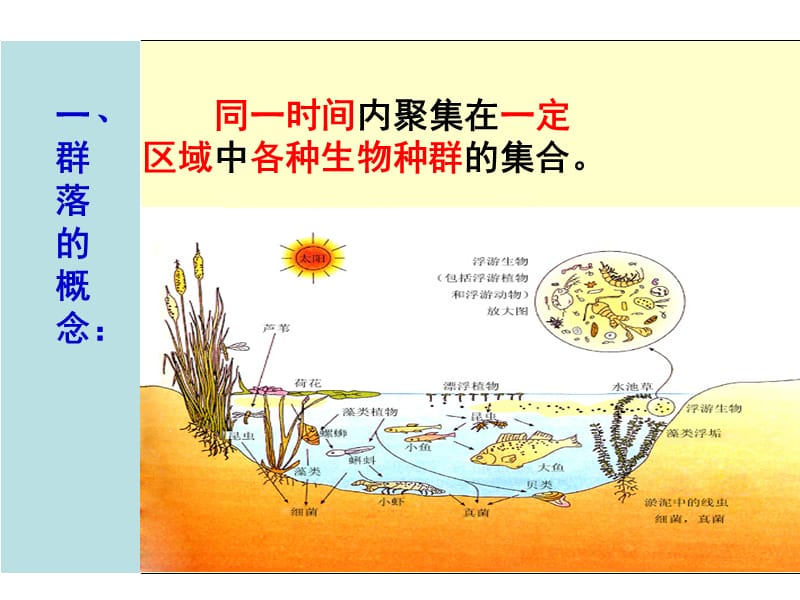 高中生物群落的结构课件人教版必修3.ppt_第2页