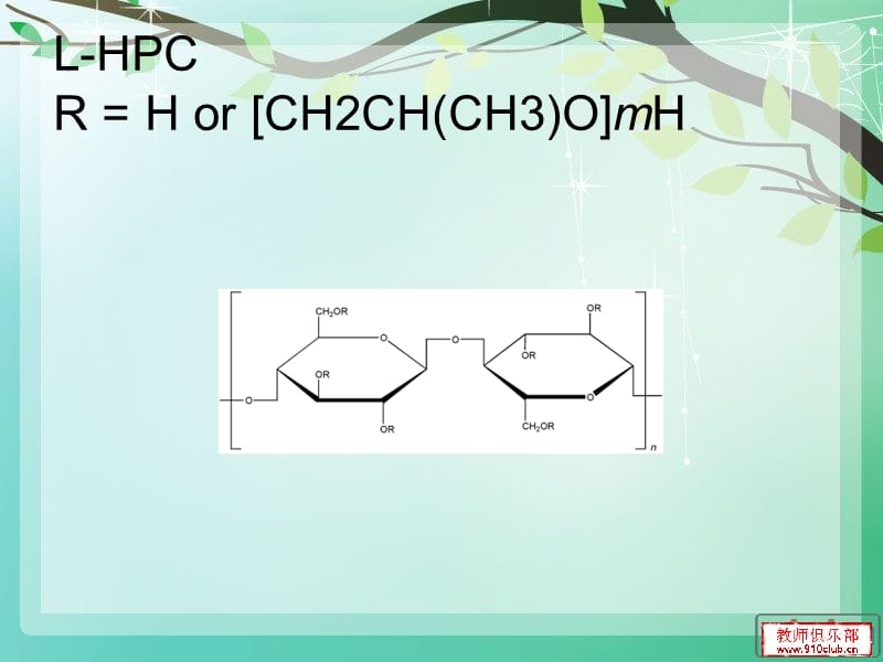 药用高分子.ppt_第2页