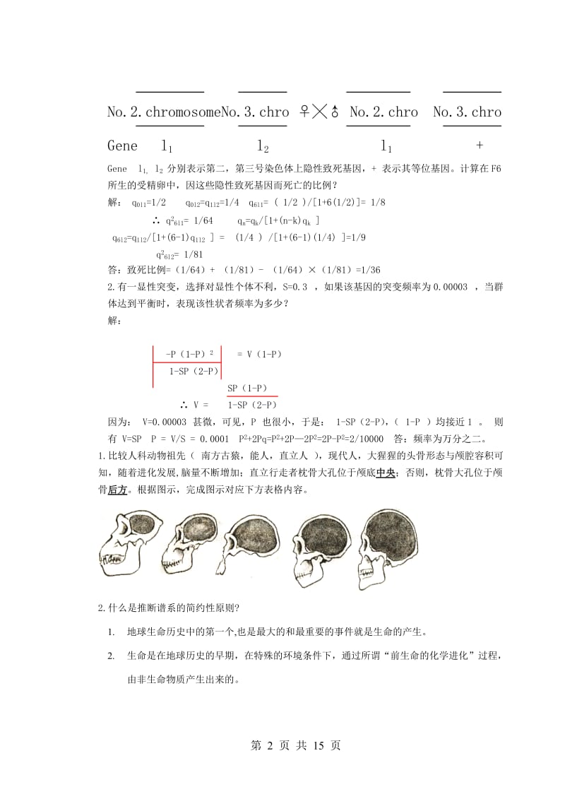 2011531进化论复习资料.doc_第2页