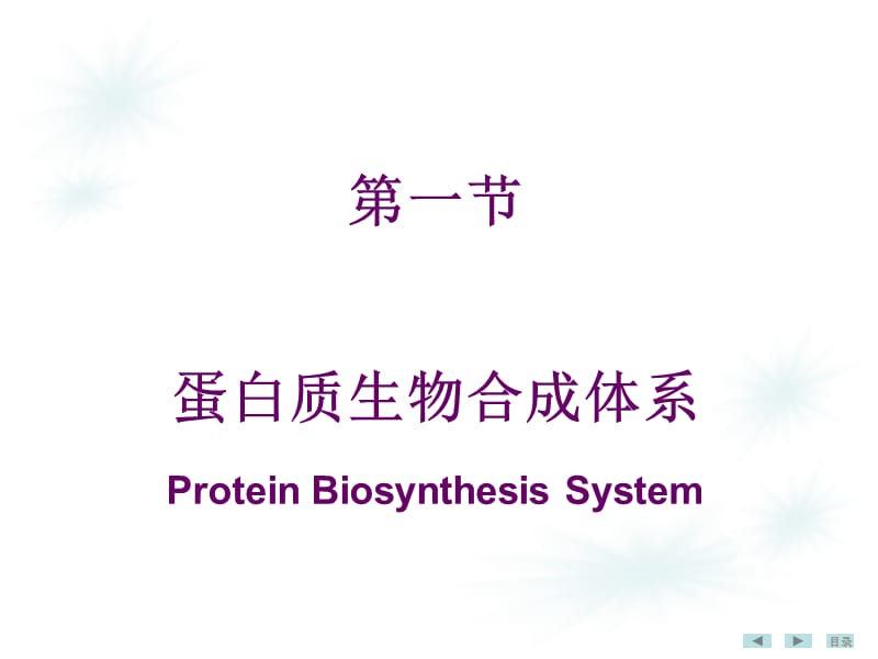 第12章蛋白质生物合成kp.ppt_第2页