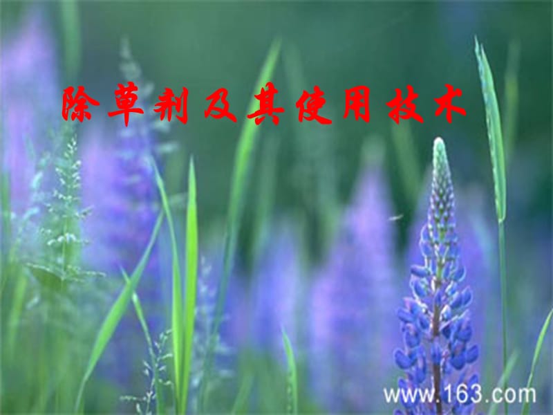 除草剂及其应用技术.ppt_第2页