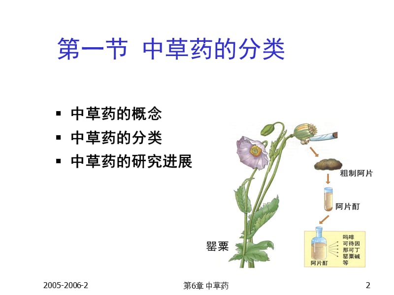 第07章中草药.ppt_第2页