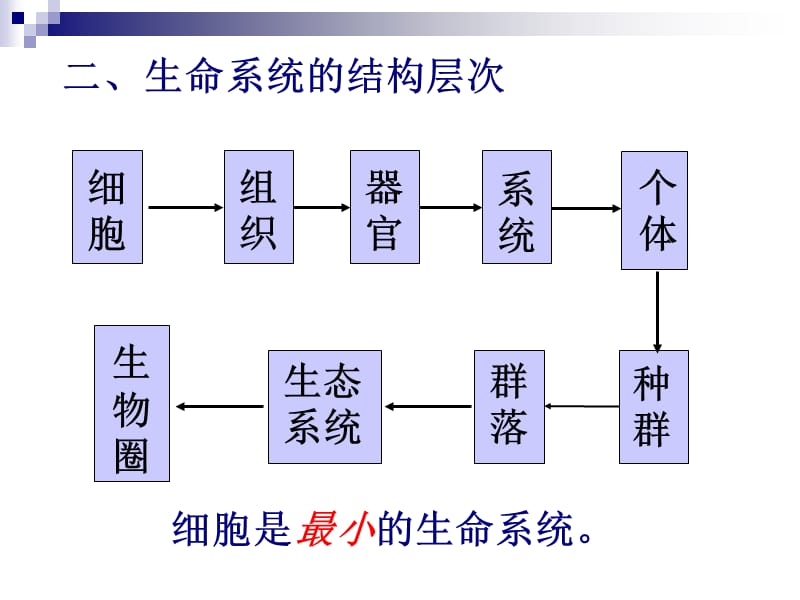 高中生物必修一复习.ppt_第3页