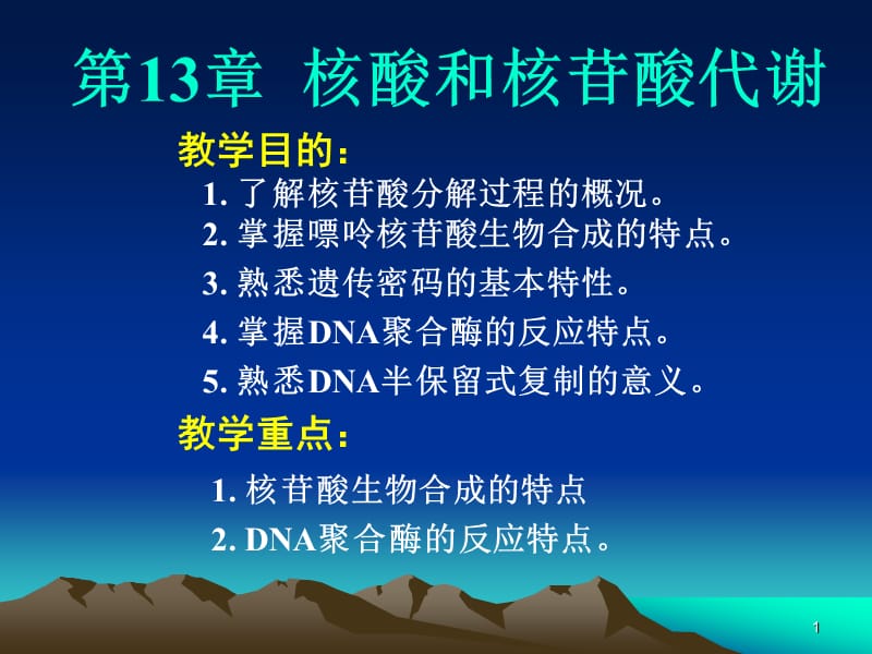 第13章核酸和核苷酸代谢.ppt_第1页