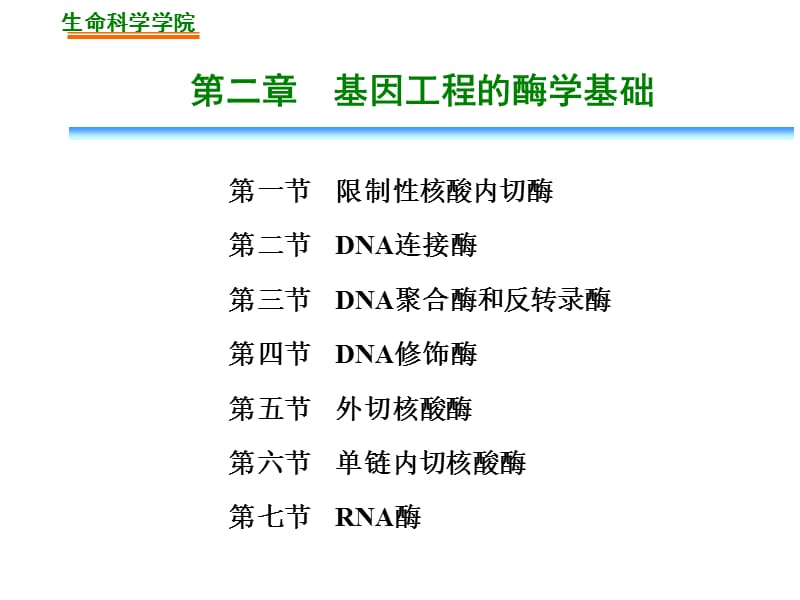 第二章基因工程的酶学基础.ppt_第3页