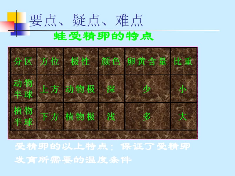 高等动物个体发育.ppt_第3页