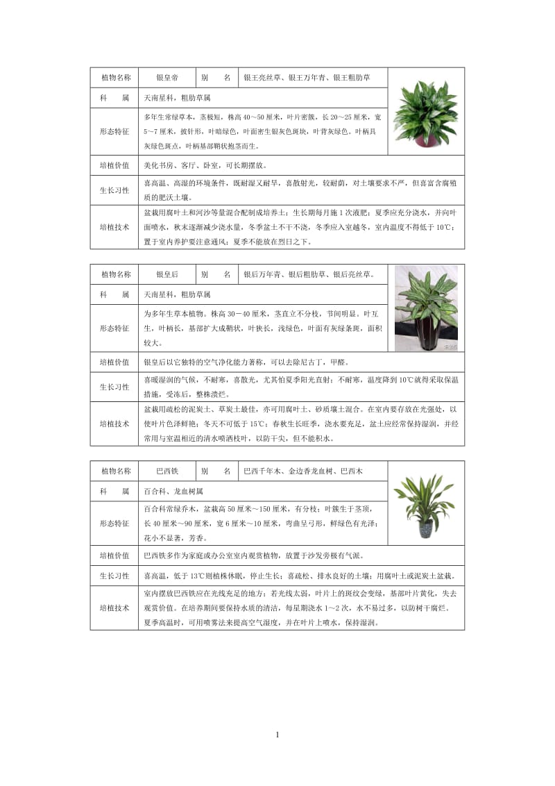 50种常见室内盆栽绿化植物介绍带图片.doc_第1页