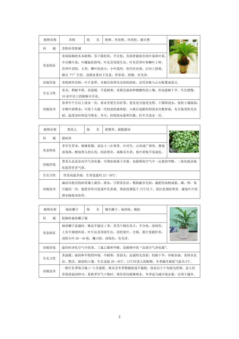 50种常见室内盆栽绿化植物介绍带图片.doc_第2页