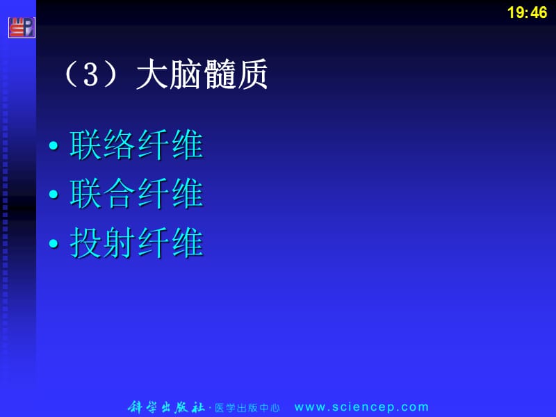 第13章神经系统2.ppt_第1页