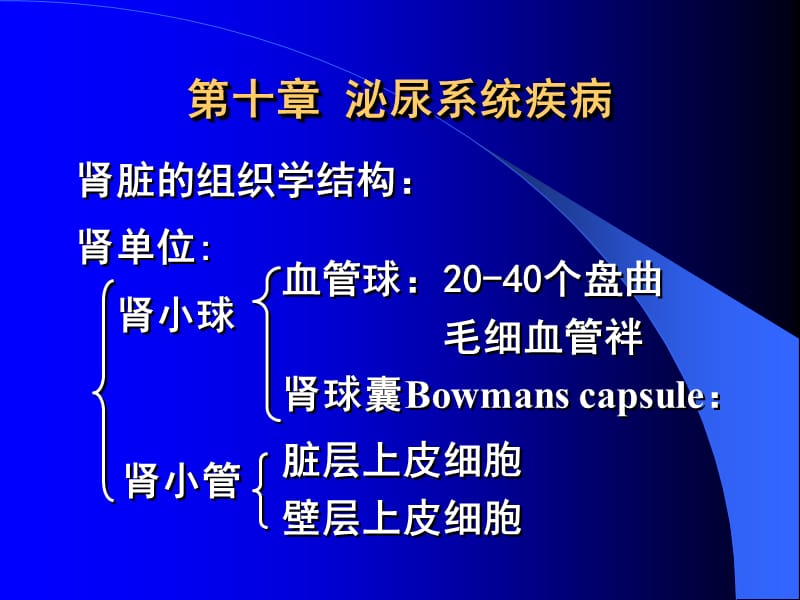 泌尿系统疾病.pps_第1页