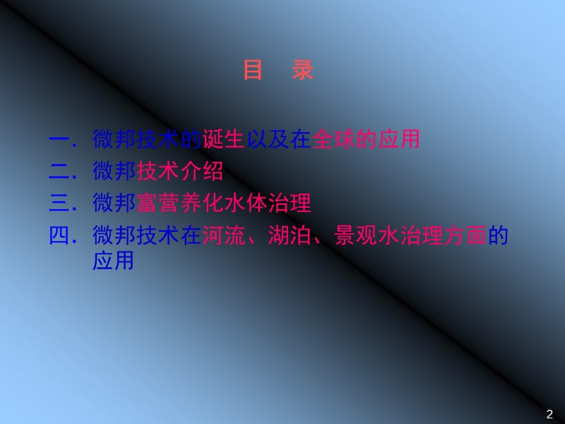 自然水体治理介绍.ppt_第2页