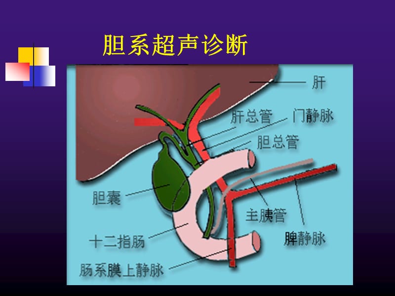 胆道系统疾病超声诊断.ppt_第2页