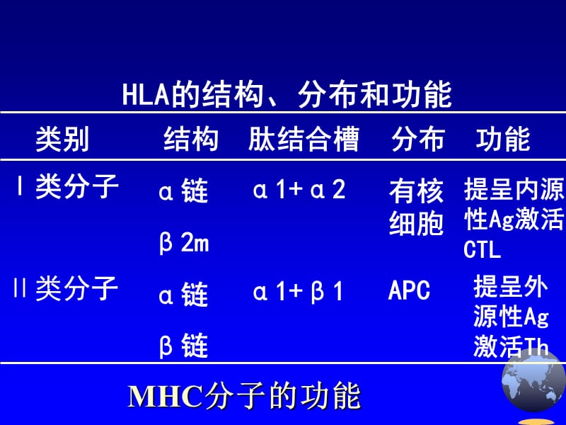 第0910章淋巴细胞.ppt_第2页